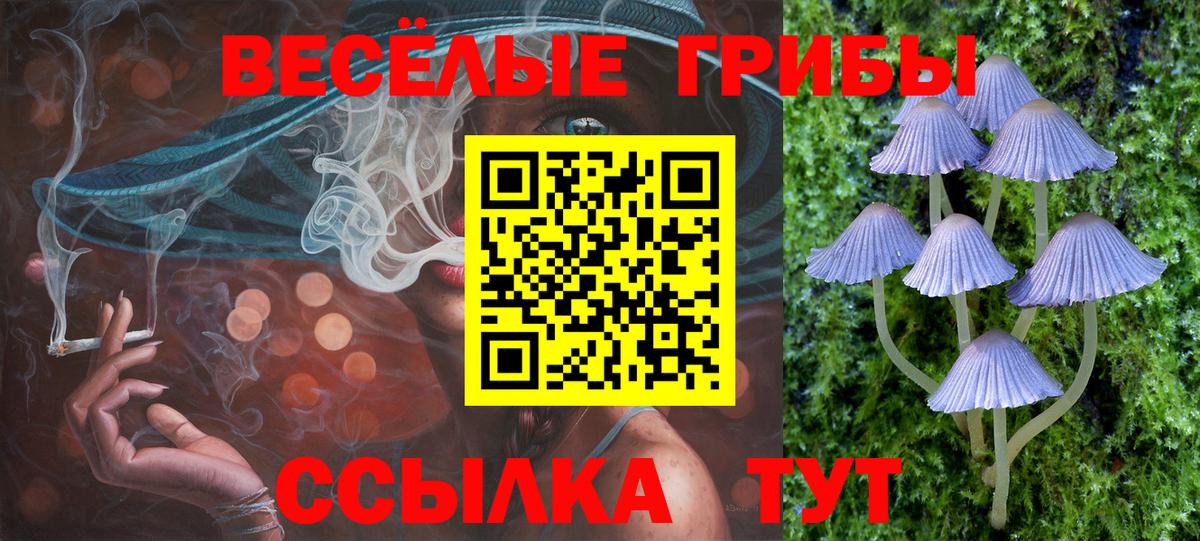 цена   Псилоцибиновые грибы Psilocybe  Вход с VPN  Узловая  Галлюциногенные грибы Psilocybine cubensis 